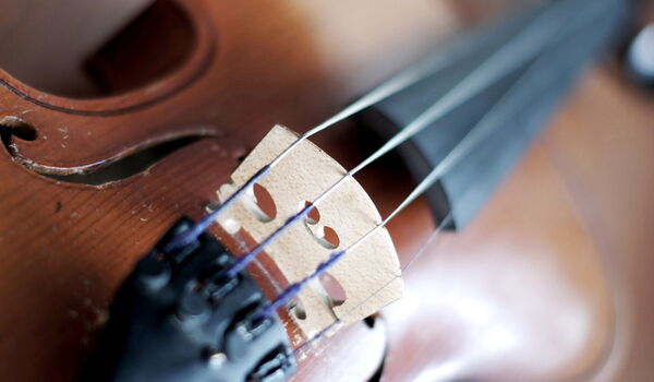 Violine Detailbild