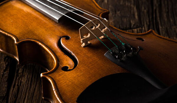 Violine Detailbild