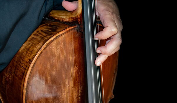 Cello Detailbild