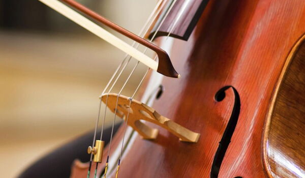 Cello Detailbild