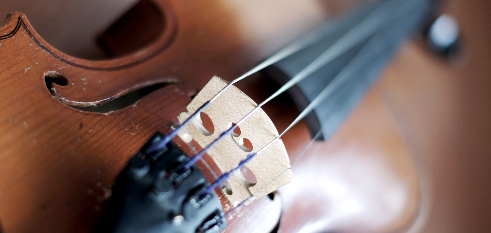 Violine Detailbild